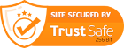 ssl logo